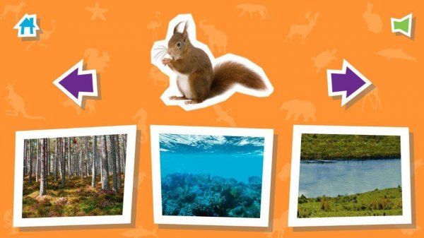 Animal House: Fun Animal Habitat Learning Game Online - Educational Puzzle Game