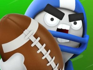 Touch Down 3D Sports Game