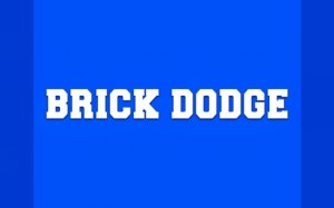 Brick Dodge - Falling Block Survival Game